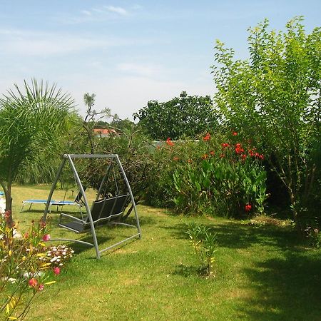 Casa Das Andorinhas Bed & Breakfast ปัลเมลา ภายนอก รูปภาพ