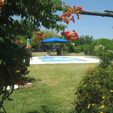 Casa Das Andorinhas Bed & Breakfast ปัลเมลา ภายนอก รูปภาพ
