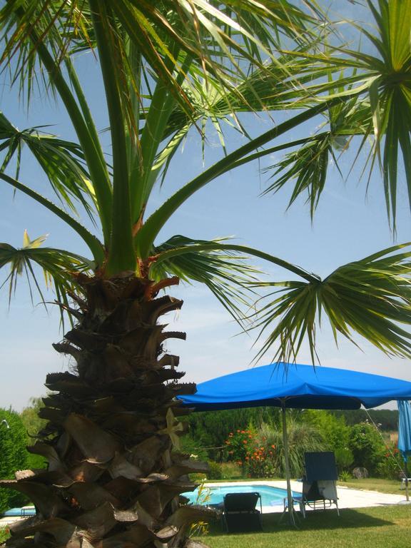 Casa Das Andorinhas Bed & Breakfast ปัลเมลา ภายนอก รูปภาพ