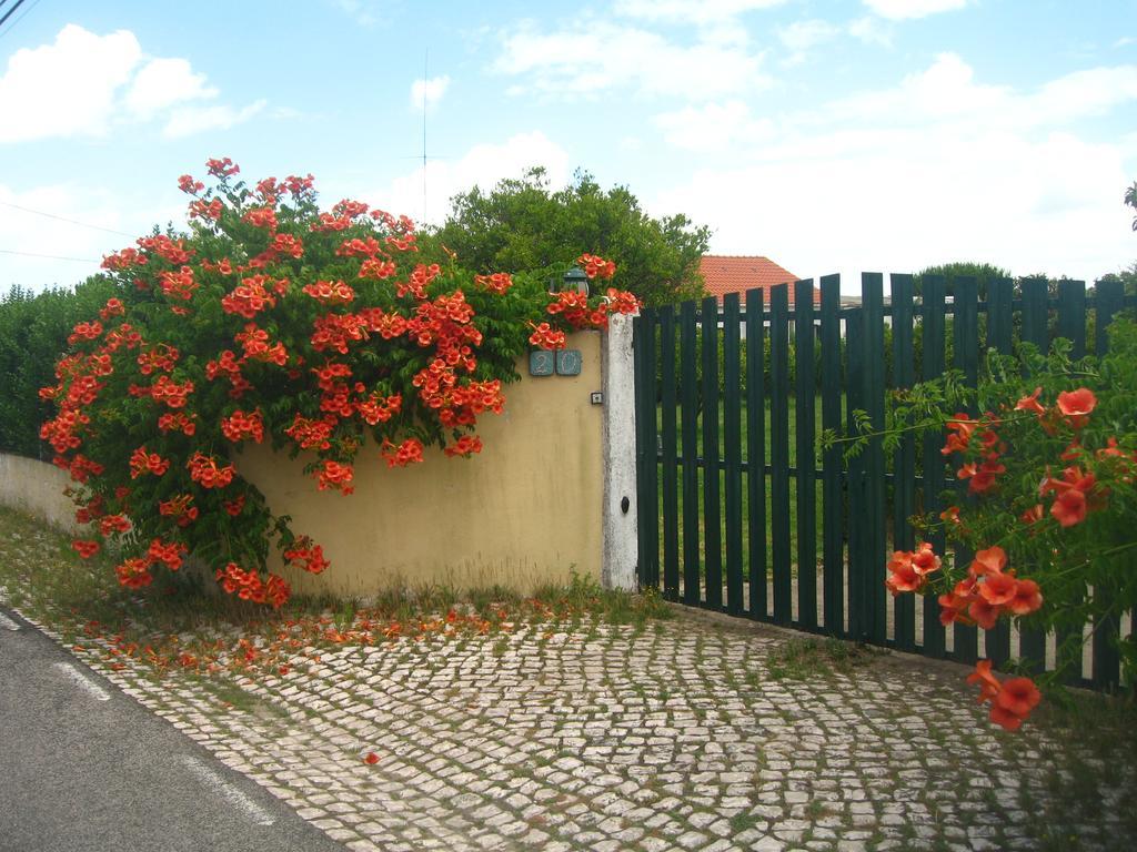 Casa Das Andorinhas Bed & Breakfast ปัลเมลา ภายนอก รูปภาพ